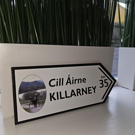Holiday In The Heart Of Kerry Castlemaine Exteriör bild